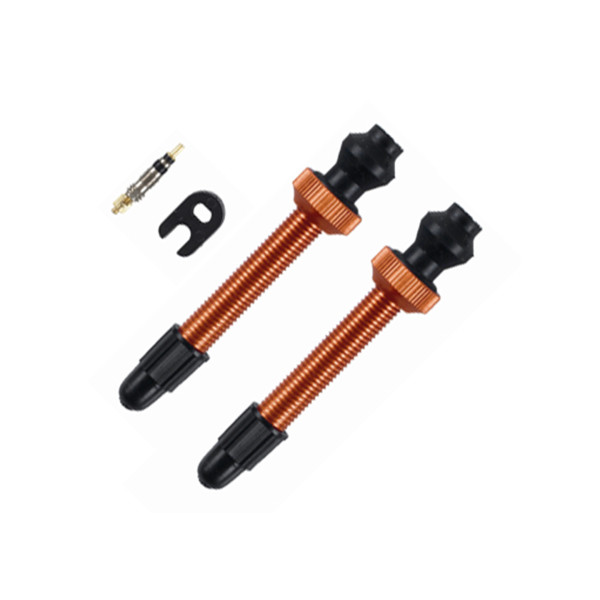 Barbieri Tubeless Valve | SV 45mm | 2 tükki | Oranž