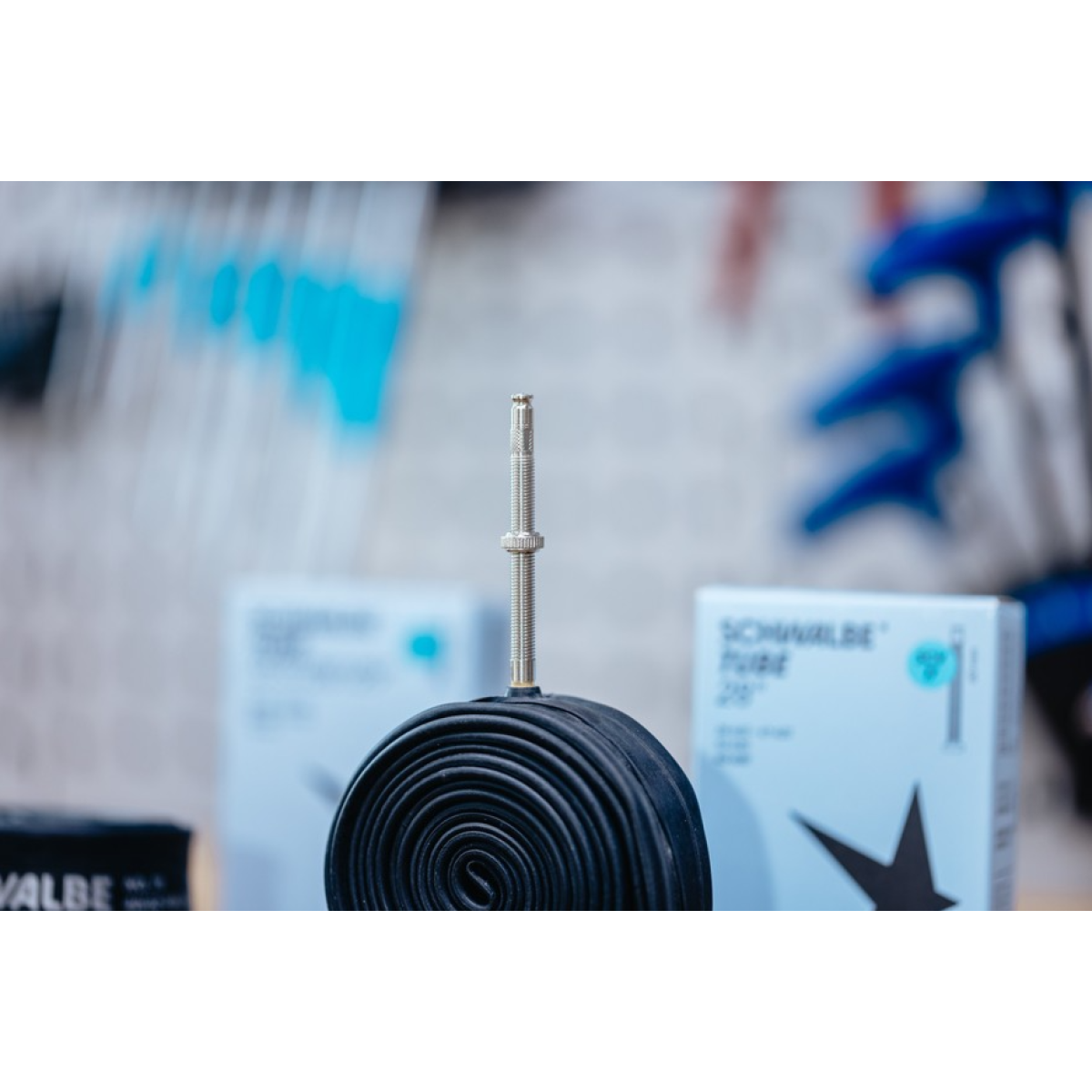 Schwalbe 24" kamera 10 | SCV CLIK Valve 40 mm | 40/62-507