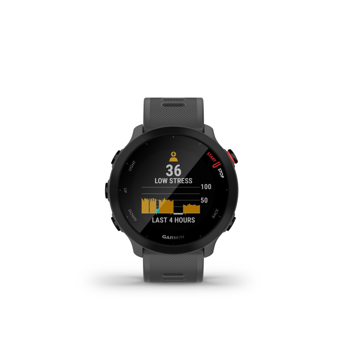 Garmin Forerunner® 55 Smart Watch | Monterra Grey