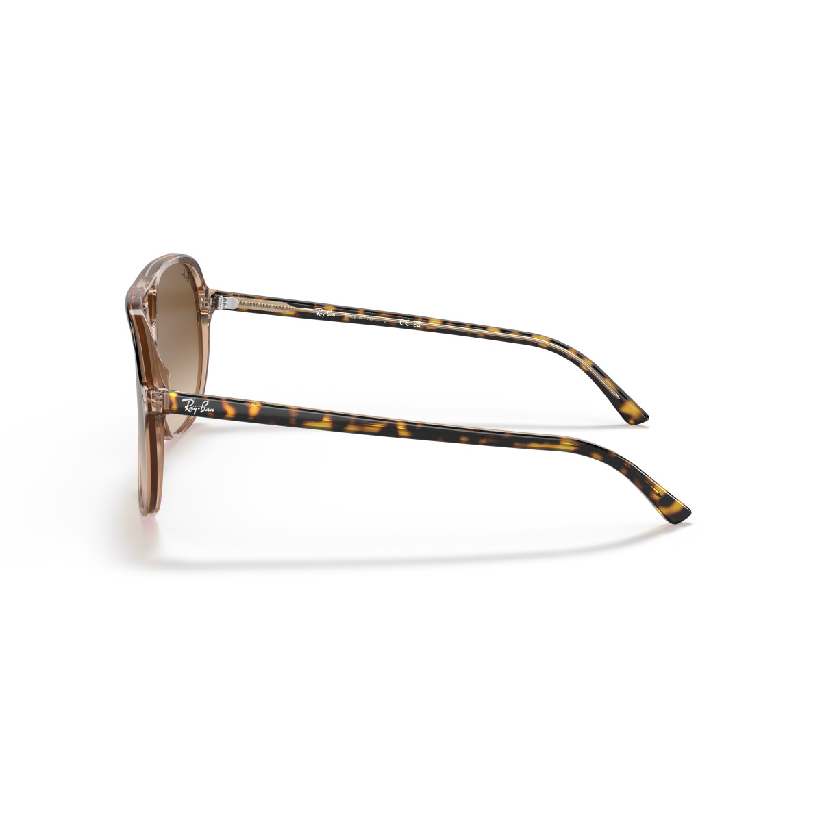 Ray-Ban Bill päikeseprillid | Havana On Transparent Brown - Light Brown Gradient
