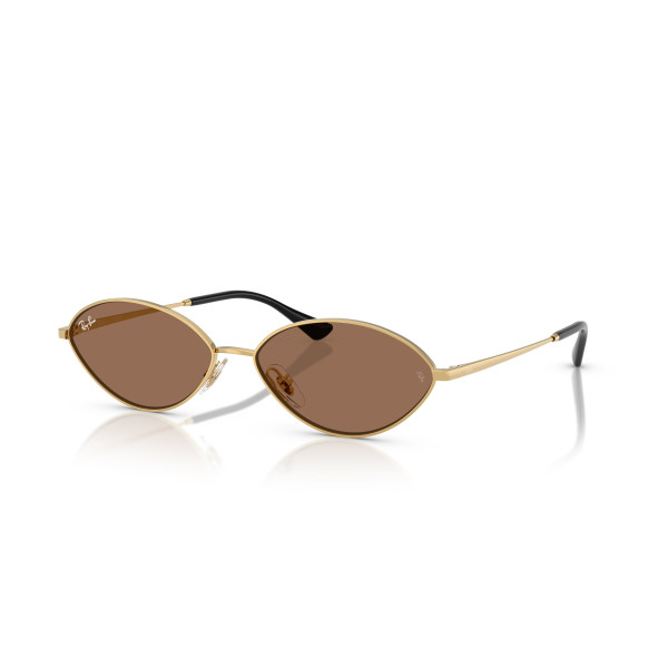 Ray-Ban Kai päikeseprillid | Gold - Dark Brown