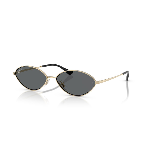Ray-Ban Kai päikeseprillid | Polarised | Pale Gold - Dark Grey