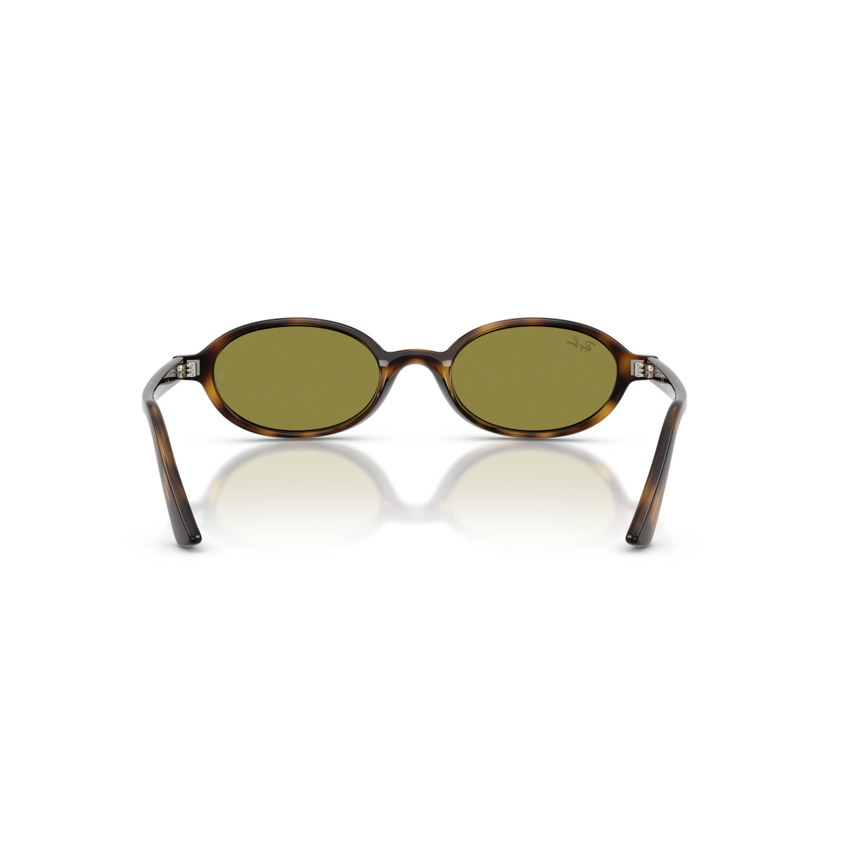 Ray-Ban Khal Small päikeseprillid | Havana - Green