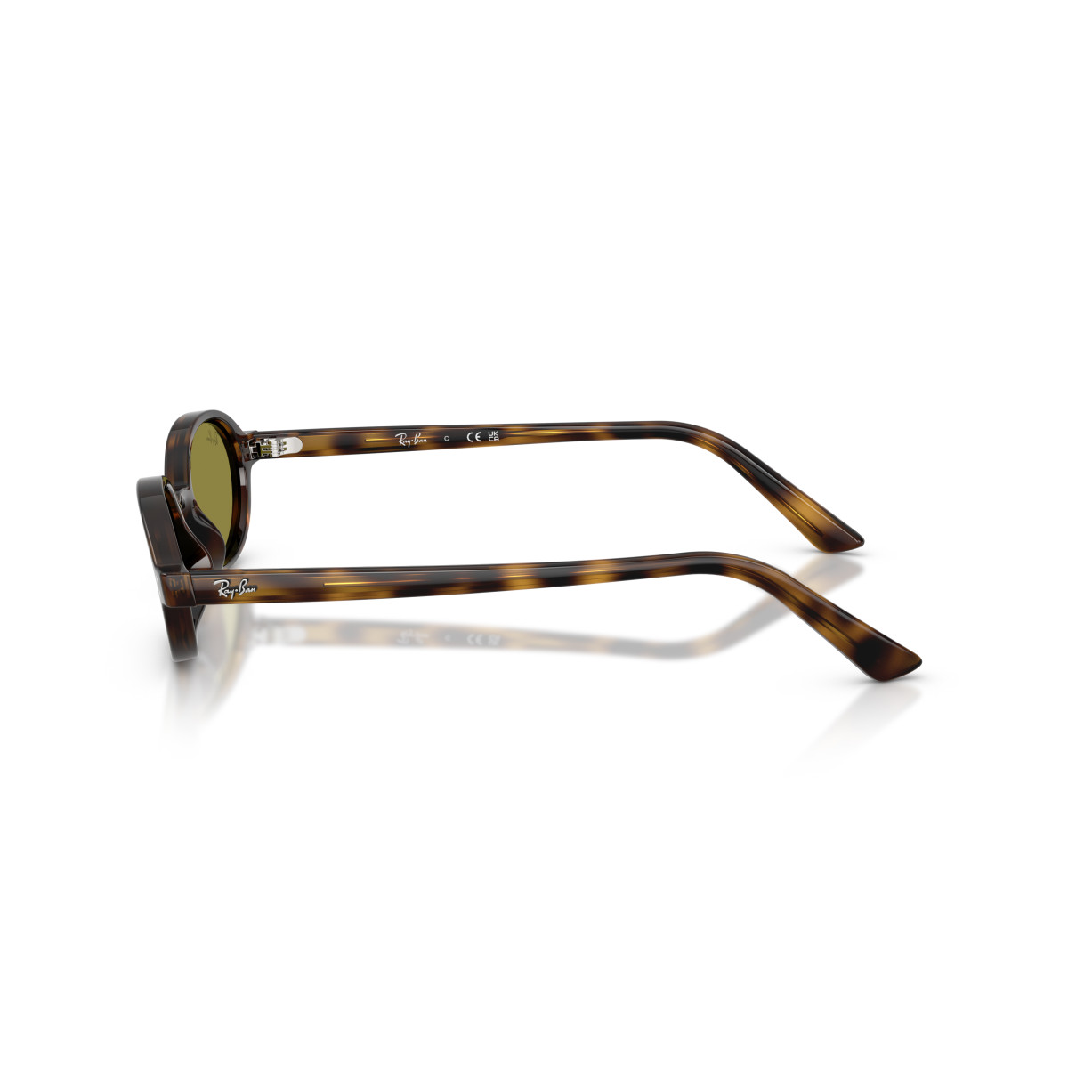 Ray-Ban Khal Small päikeseprillid | Havana - Green