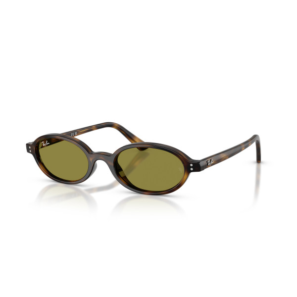 Ray-Ban Khal päikeseprillid | Havana - Green