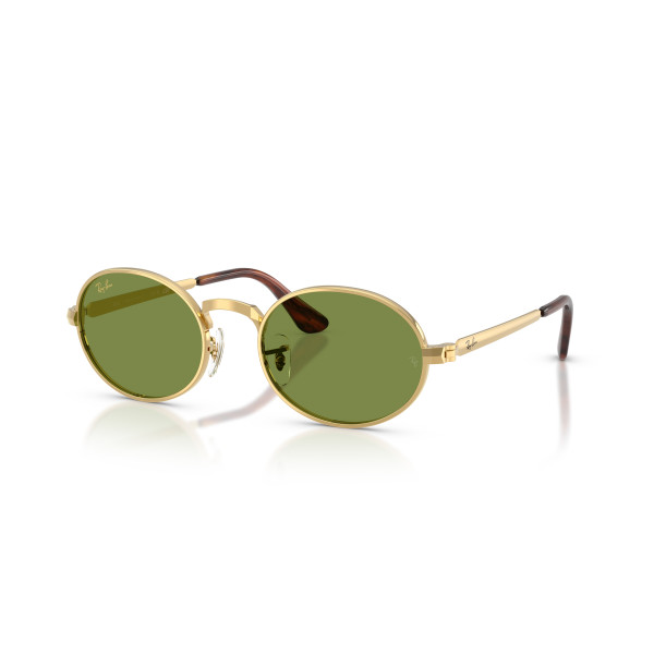 Ray-Ban RB3931 By A$AP Rocky päikeseprillid | Arista Gold - Green Ray-Ban RB3931 By A$AP Rocky päikeseprillid | Arista Gold - Green