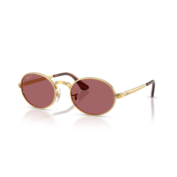 Ray-Ban RB3931 By A$AP Rocky päikeseprillid | Polarized | Arista Gold - Purple