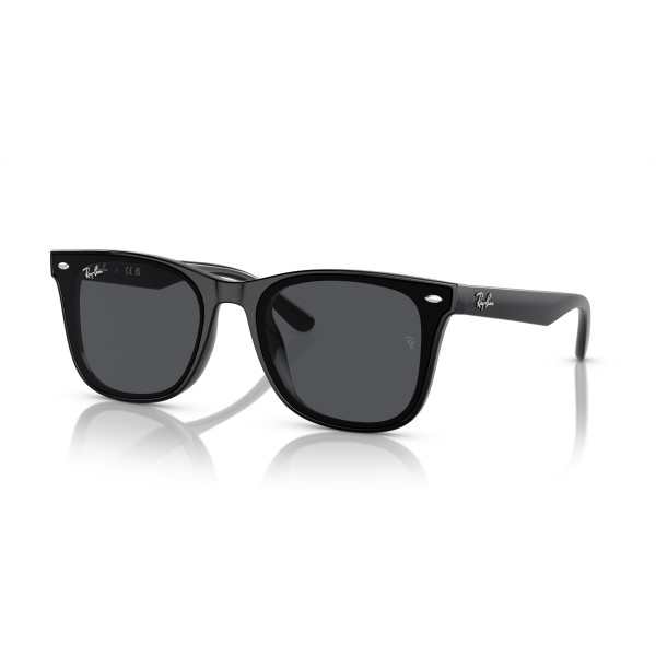 Ray-Ban RB4420 päikeseprillid | Black - Dark Gray