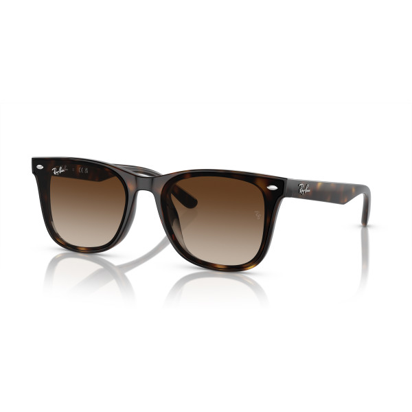 Ray-Ban RB4420 päikeseprillid | Havana - Brown