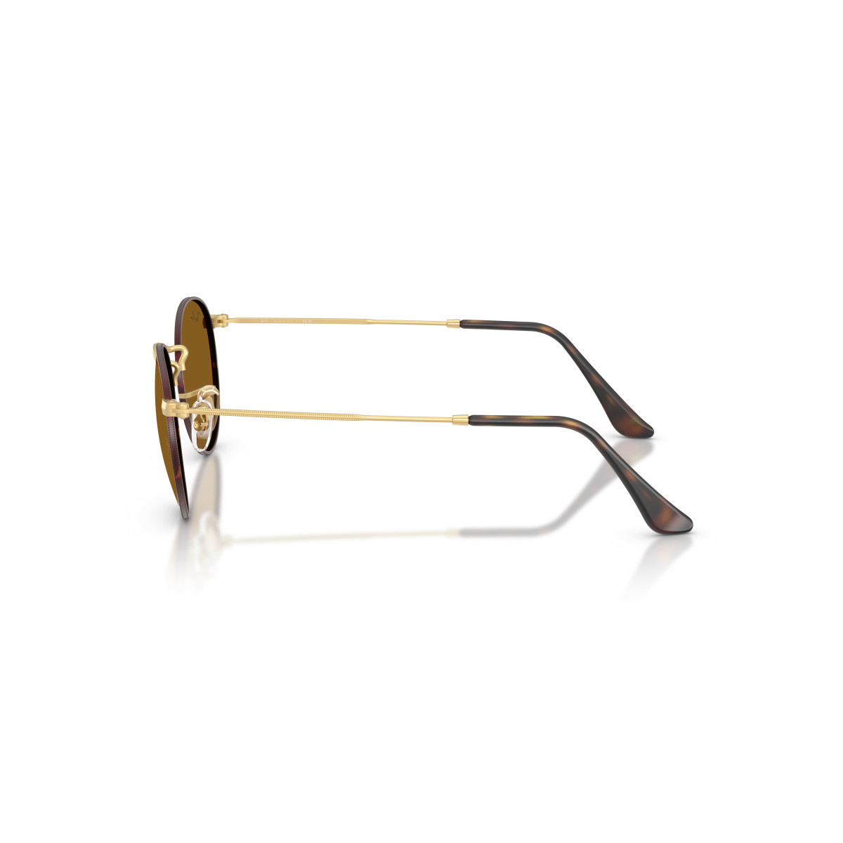 Ray-Ban Round Metal Large päikeseprillid | Matt Havana On Matt Arista Gold - Brown