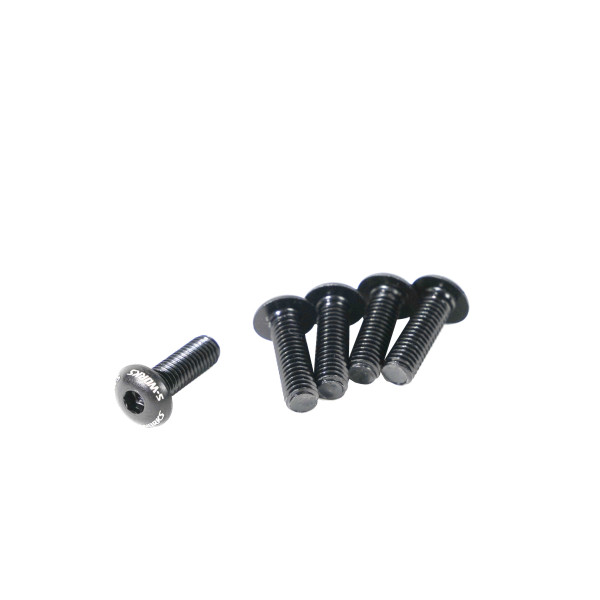 S-Works joogipudelihoidja poldid | 5 tk | Black S-Works joogipudelihoidja poldid | 5 tk | Black