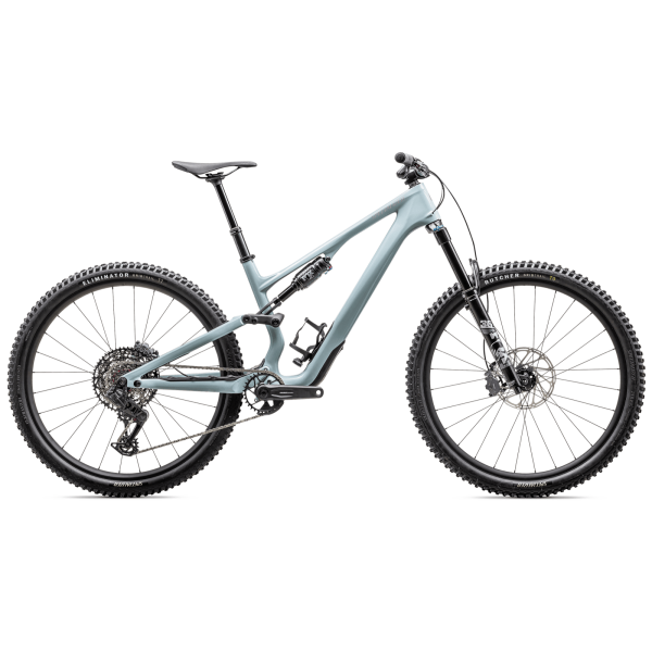 Specialized Stumpjumper 15 Comp maastikuratas | 29