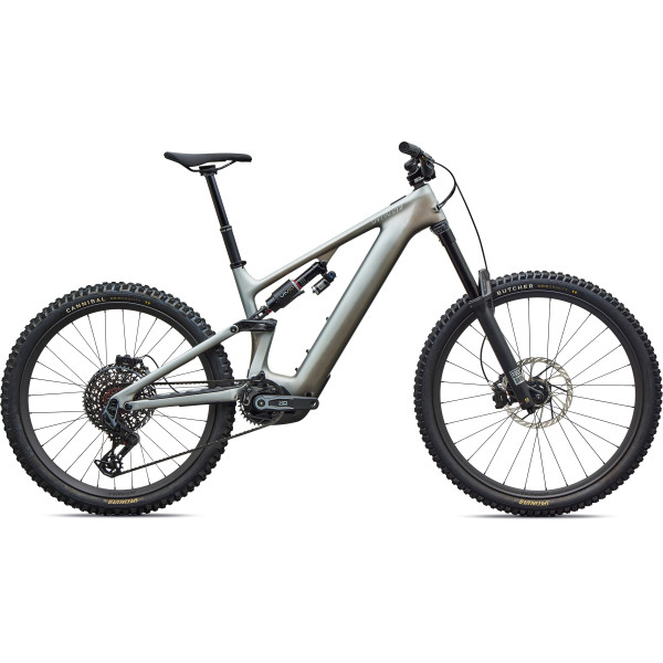 Specialized Turbo Levo 4 EVO Pro elektrijalgratas | Satin Shadow - Silver Dust