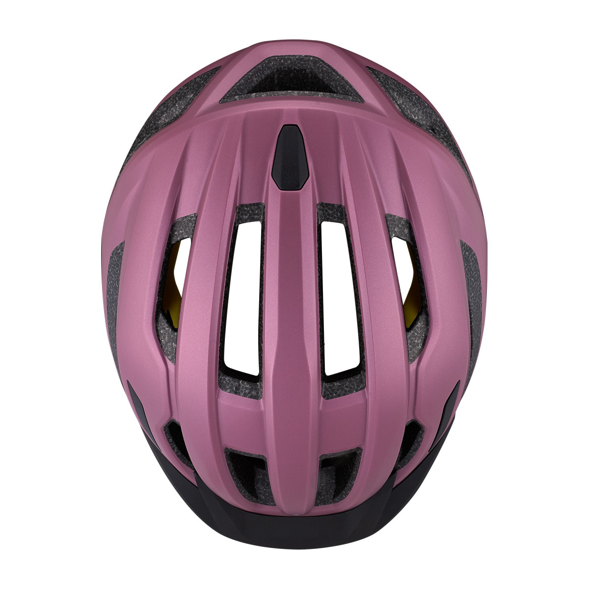 Specialized Chamonix 3 ķivere | Quartz Metallic