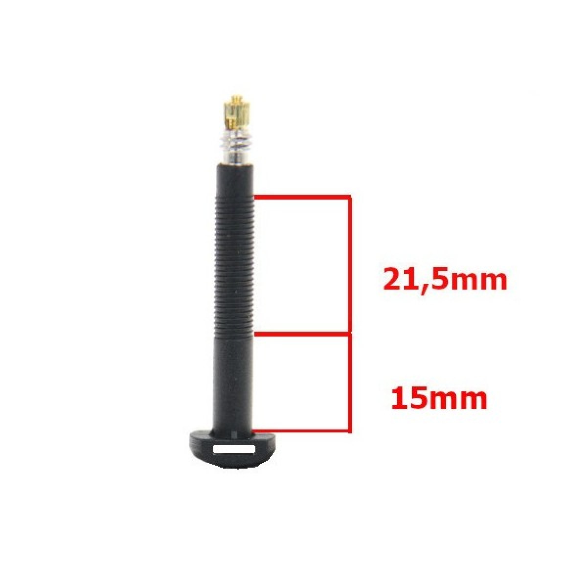 Barbieri Carbon Tubeless Valves | SV 45 mm | 2 pcs | Black