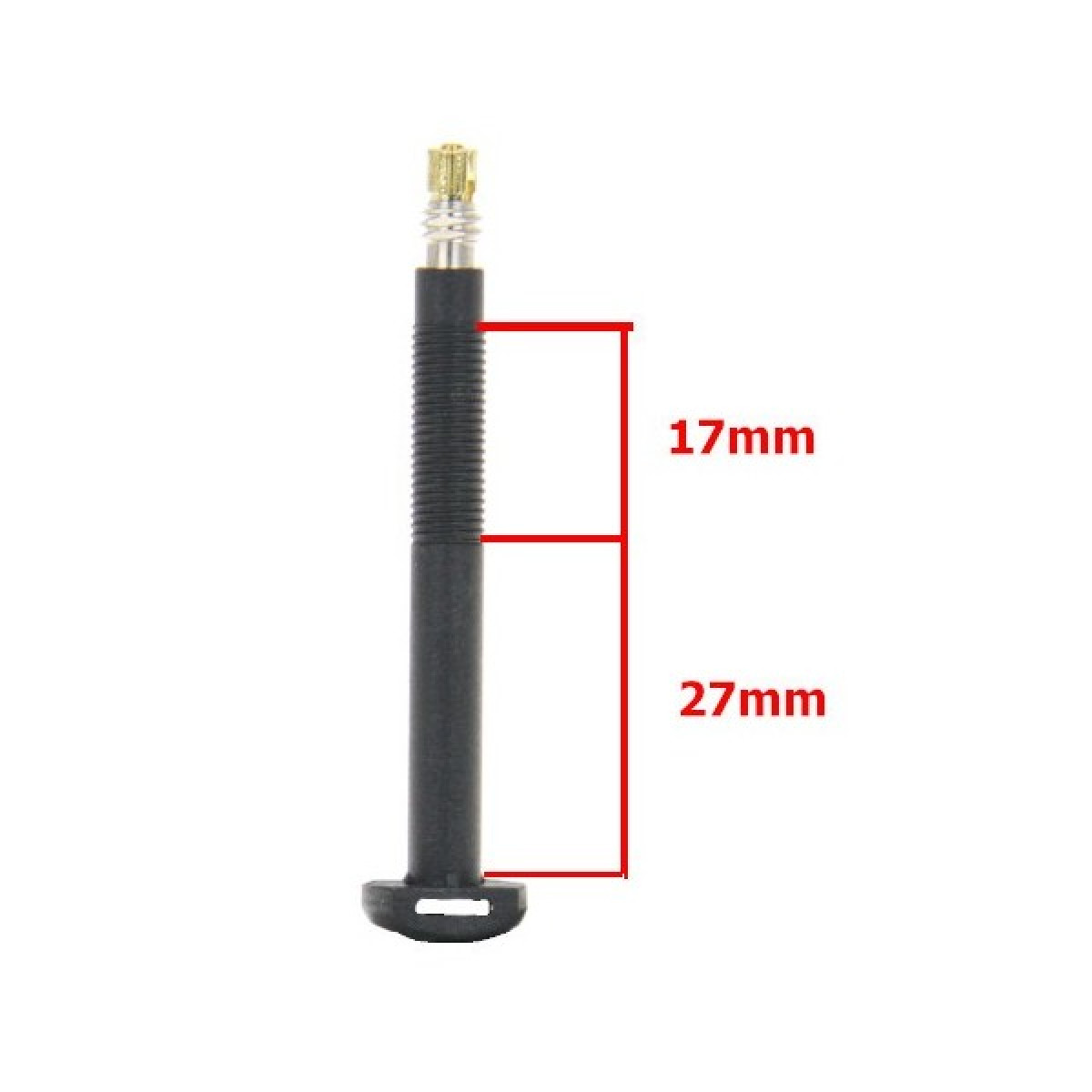 Barbieri Carbon Tubeless Valves | SV 55 mm | 2 pcs | Black