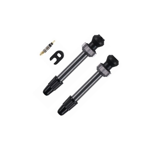 Barbieri Tubeless Valve | SV 45mm | 2 tk | Titanium
