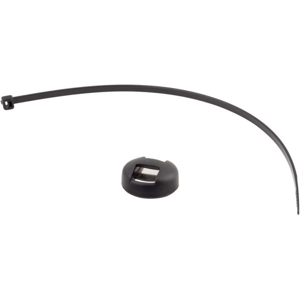 Cat Eye Cadence Magnet