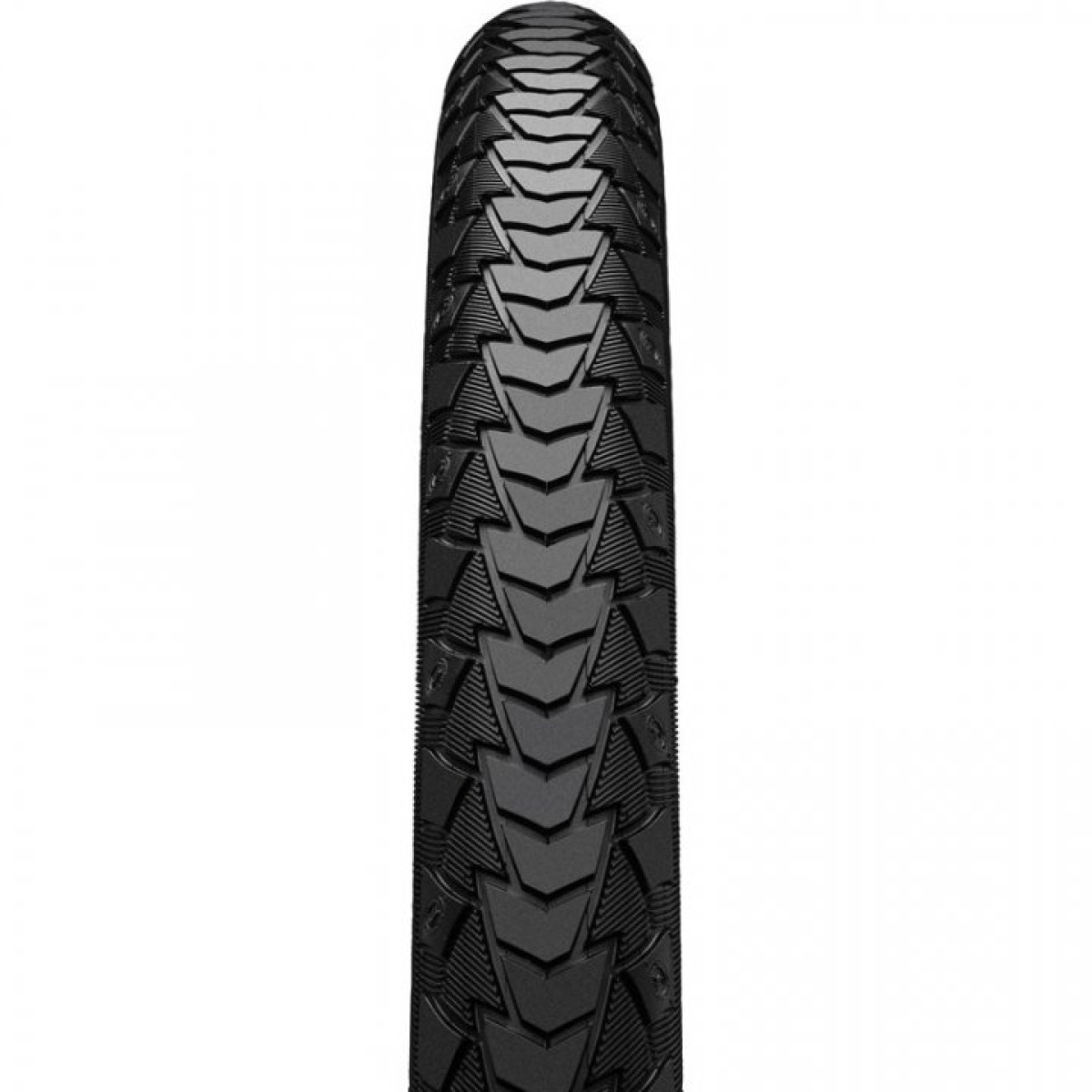 Continental Contact Plus 28