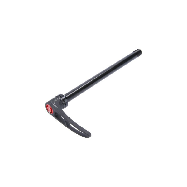 DT Swiss RWS MTB Plug Boost In tagumine ratta telg | Thru Axle | 12x148 mm | 168,5 mm | M12xP1.0