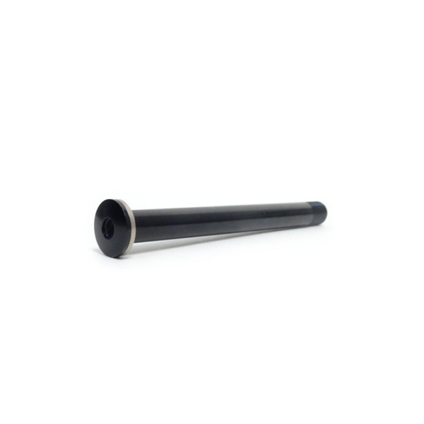 DT Swiss RWS Road Plug In esiratta telg | Thru Axle | 12x100 mm | 121 mm | M12xP1.5