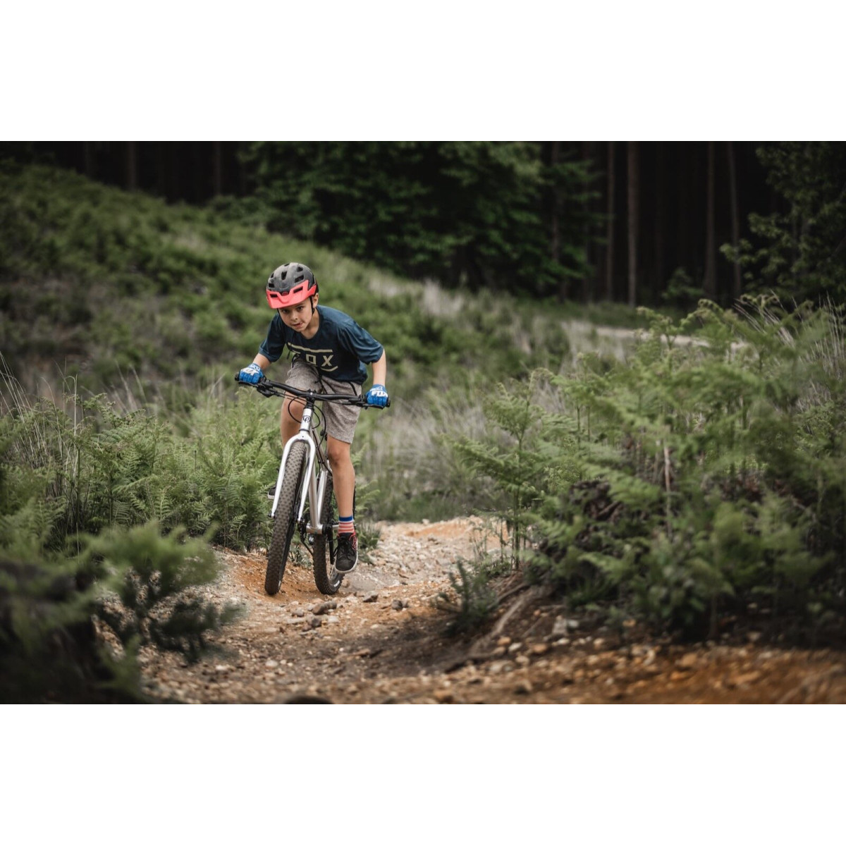 Early Rider Hellion 24