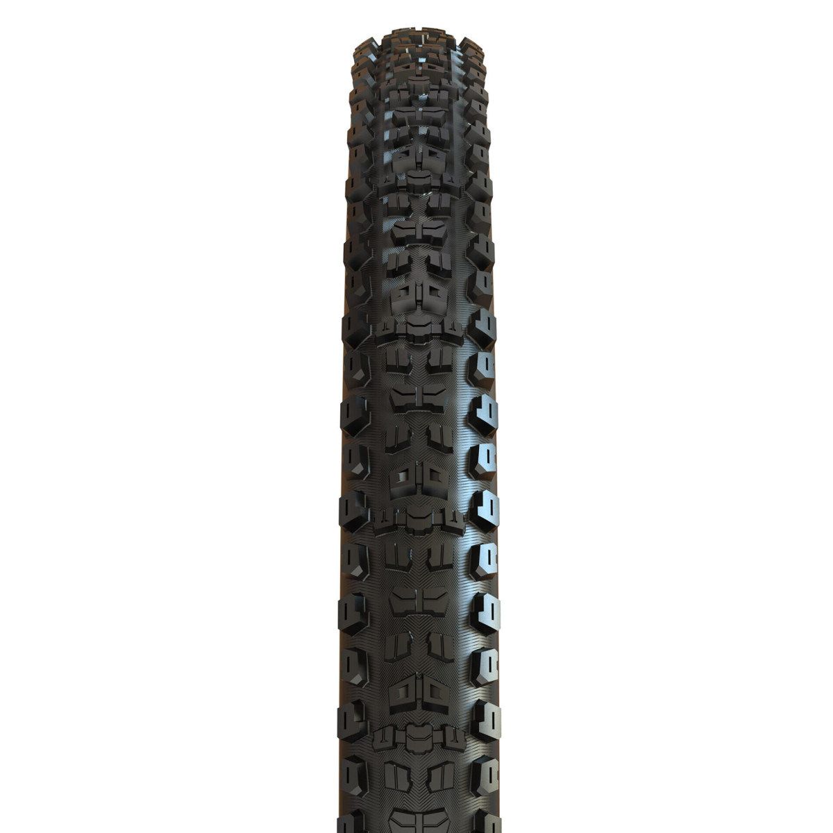 Maxxis Aggressor EXO TR 29