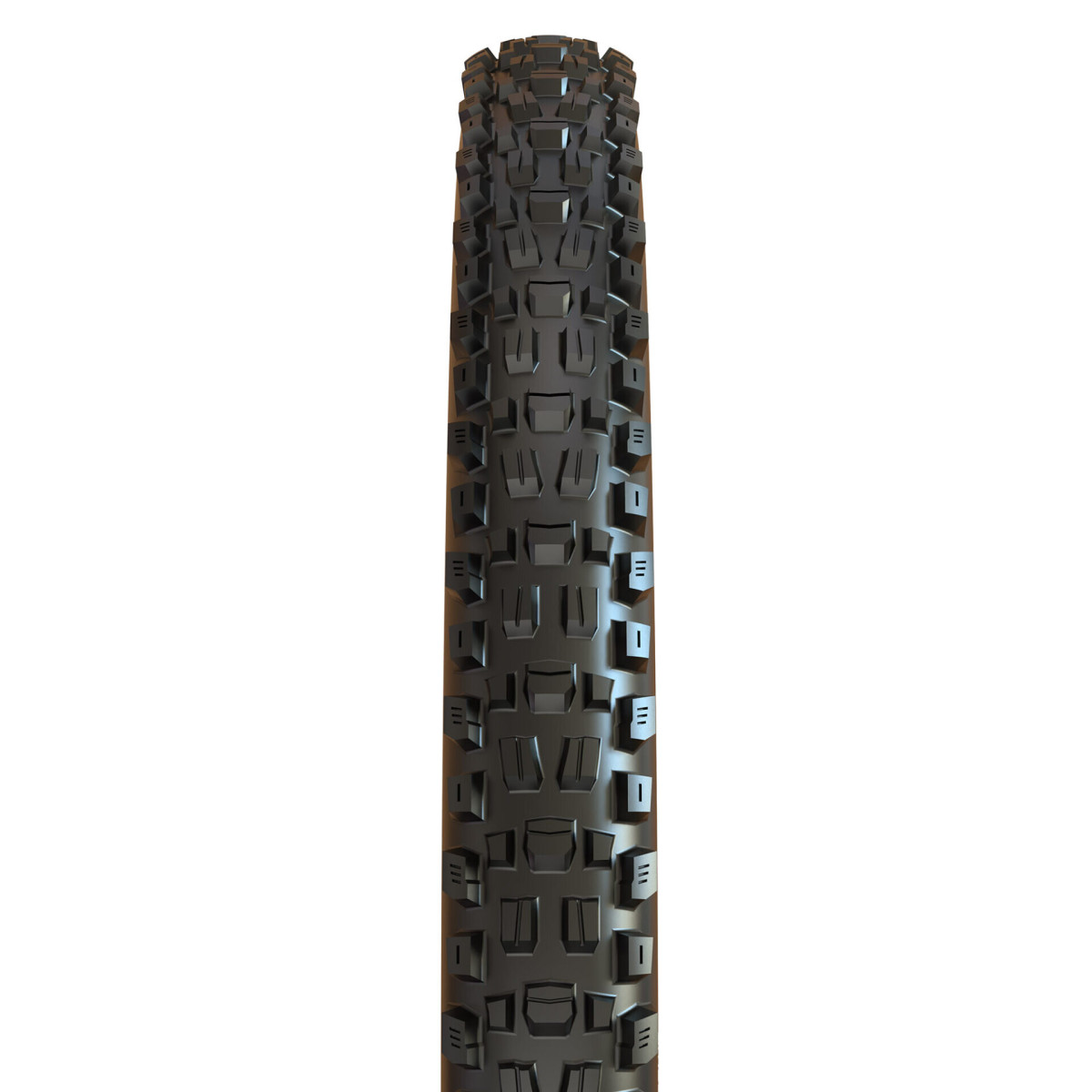 Maxxis Assegai EXO+ TR 27,5