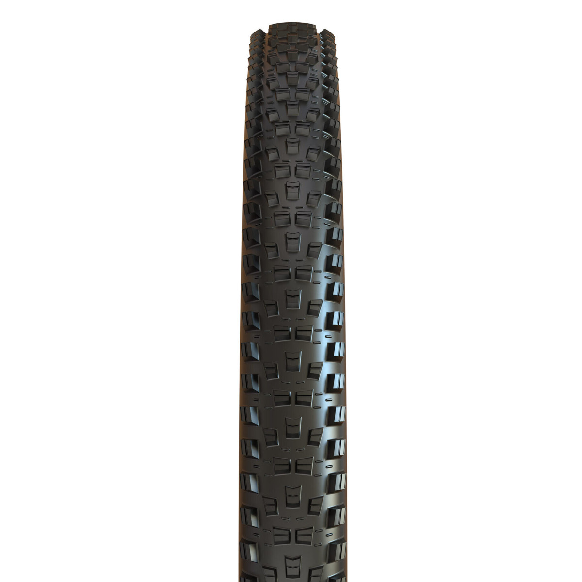 Maxxis Forekaster EXO TR 29