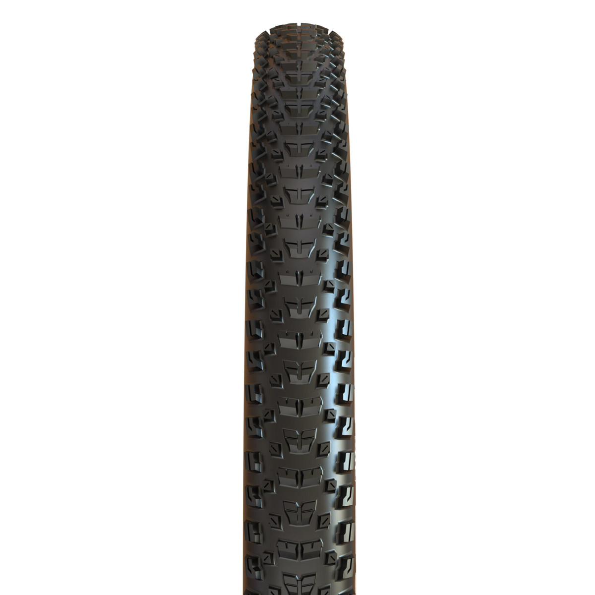 Maxxis Rekon EXO TR 29