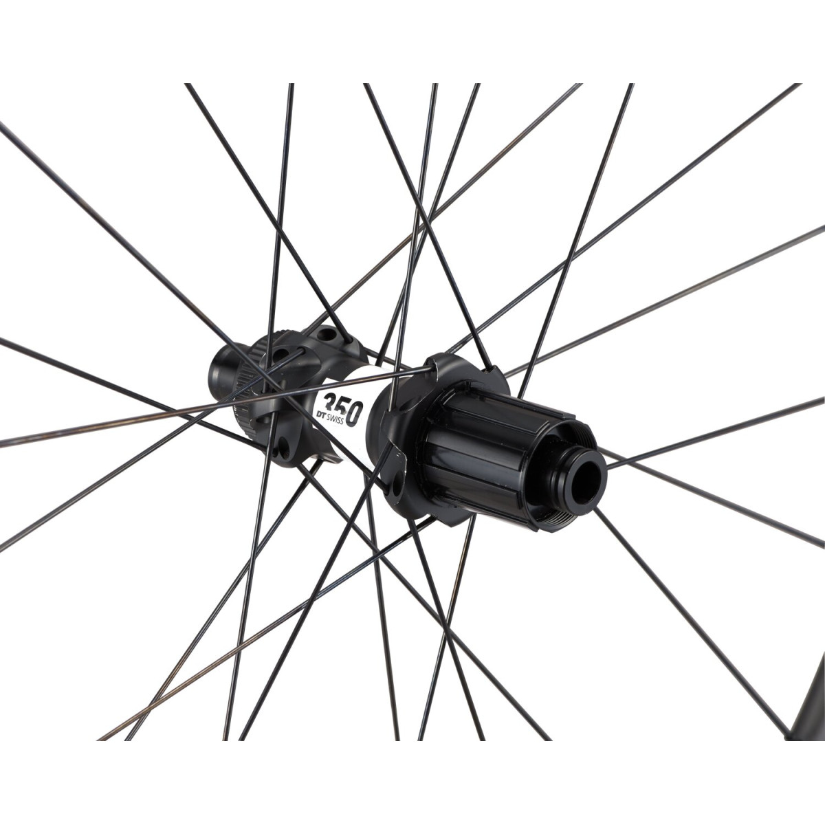 Roval Rapide CL II tagumine ratas | Satin Carbon - Satin Black