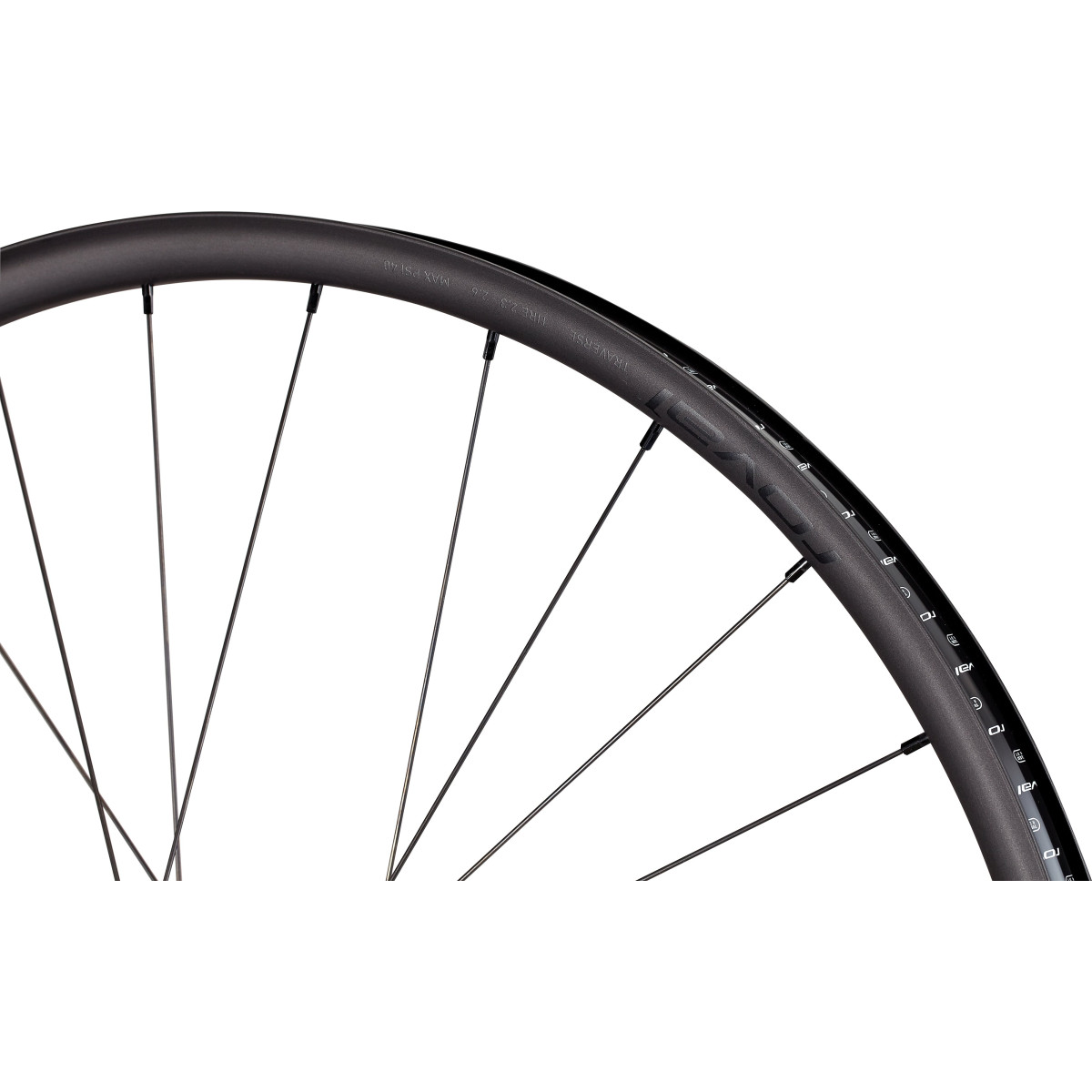 Roval Traverse Alloy 350 27,5