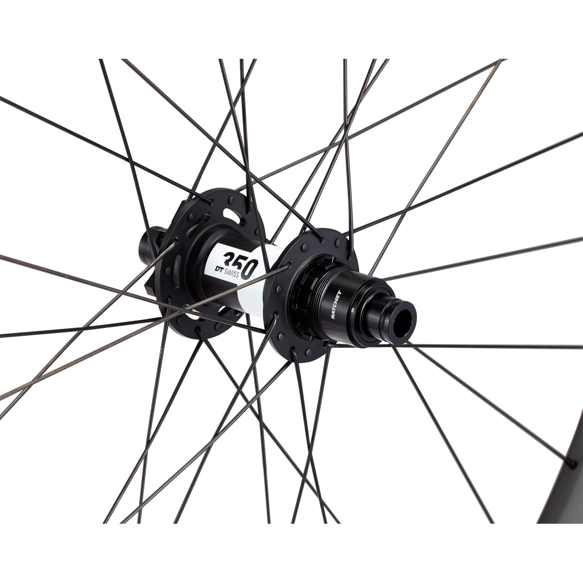 Roval Traverse HD 350 29
