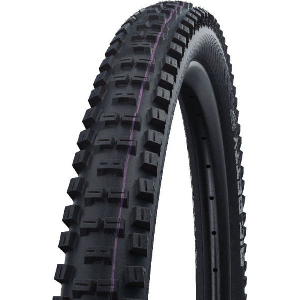 Schwalbe Big Betty Evo Super Downhill 29
