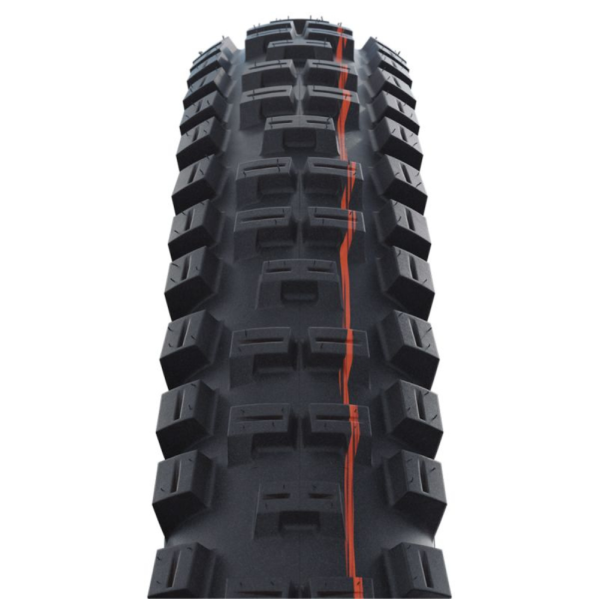 Schwalbe Big Betty Evo Super Gravity 29