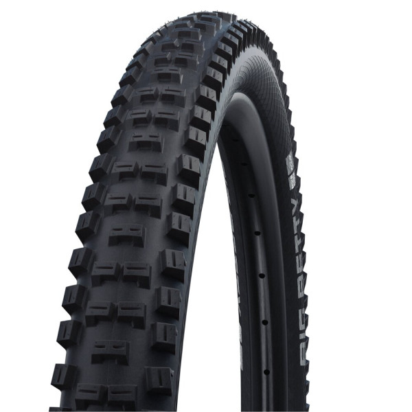 Schwalbe Big Betty Performance BikePark 26