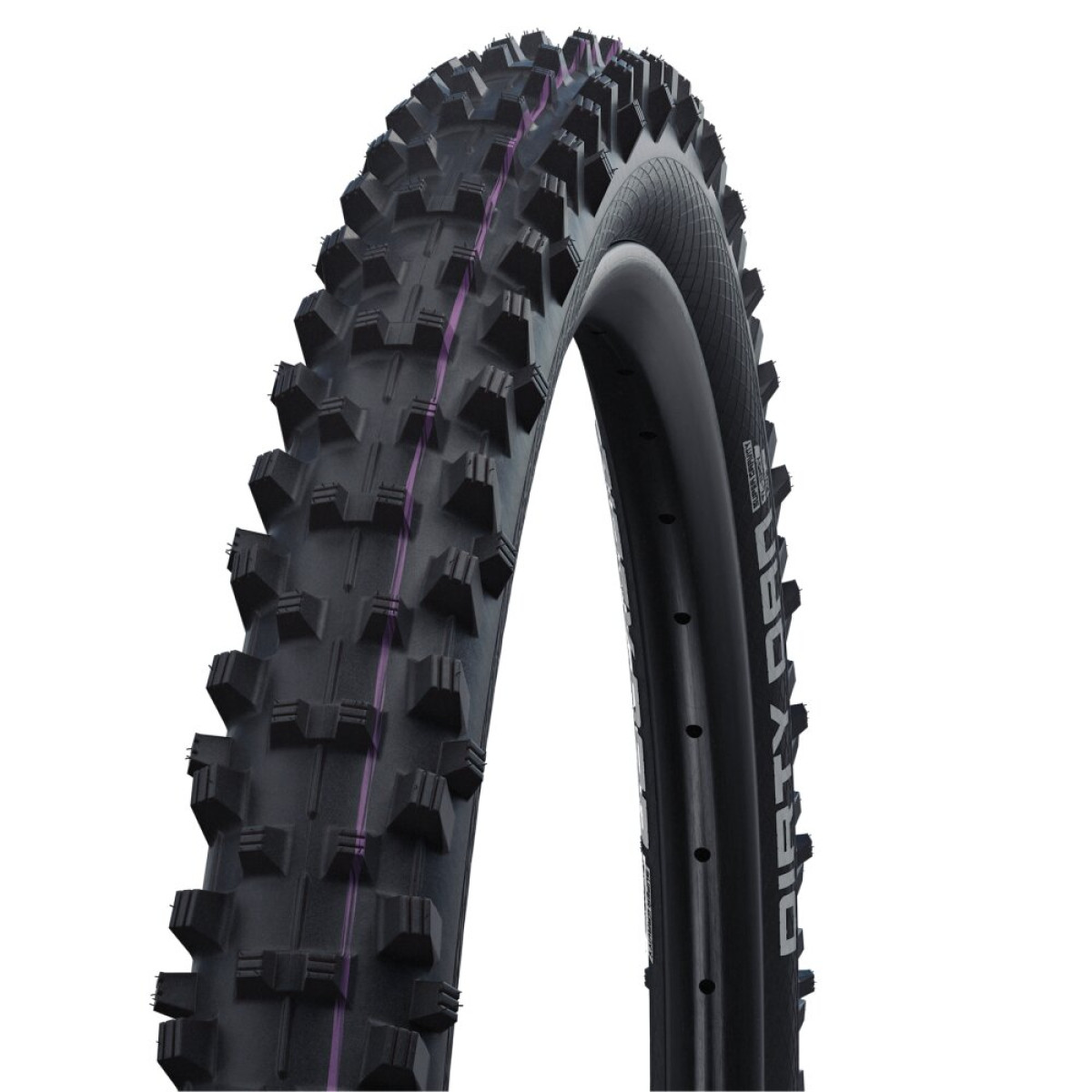 Schwalbe Dirty Dan Super Downhill TLE 29" TLE Addix Ultra Soft Folding Tire | Black