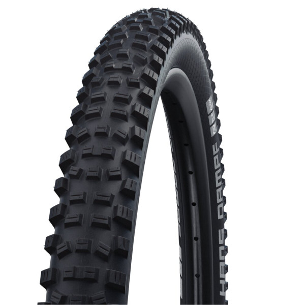 Schwalbe Hans Dampf Performance 24