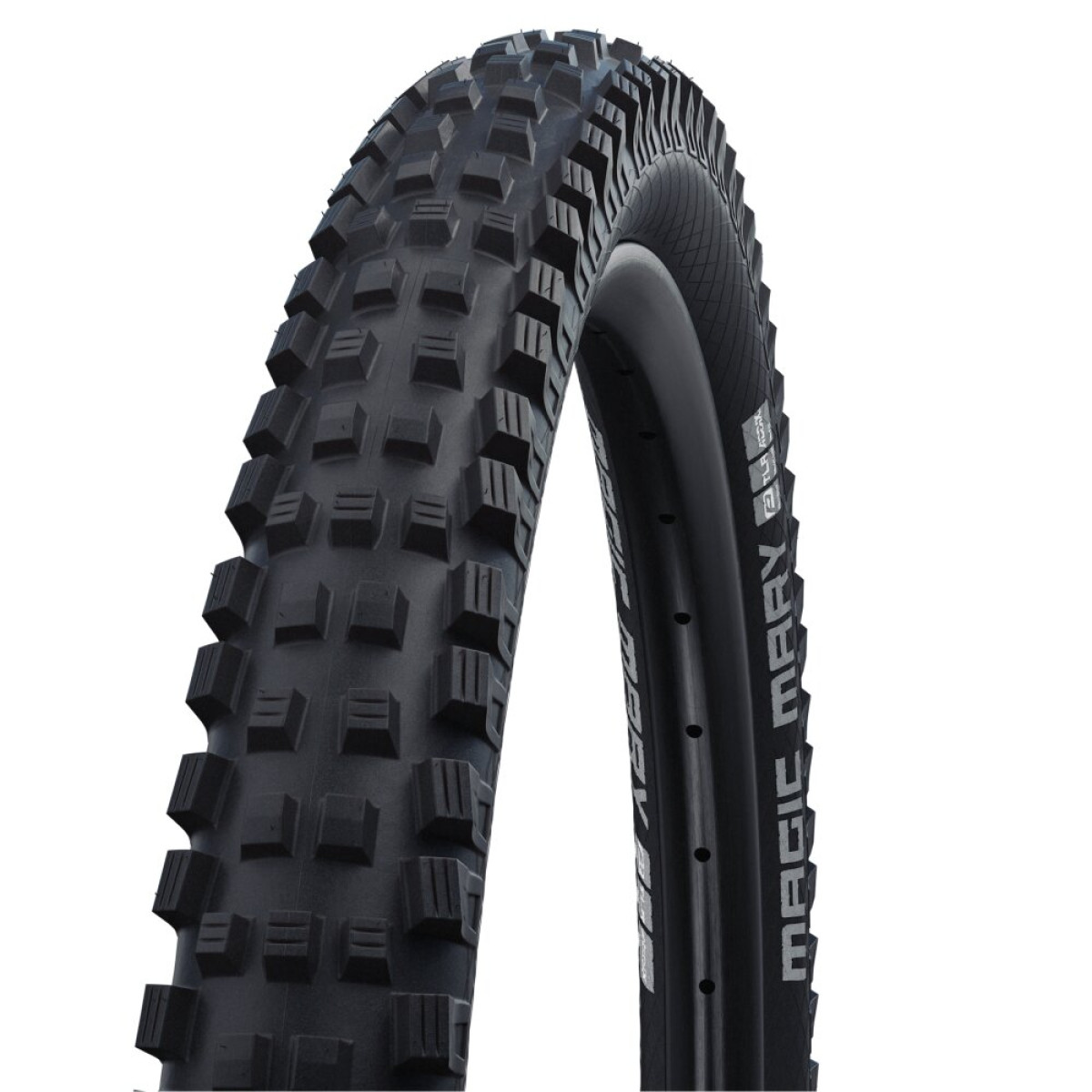 Schwalbe Magic Mary 29