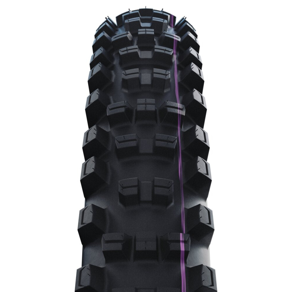 Schwalbe Shredda Rear Evo Gravity Pro TLR 29