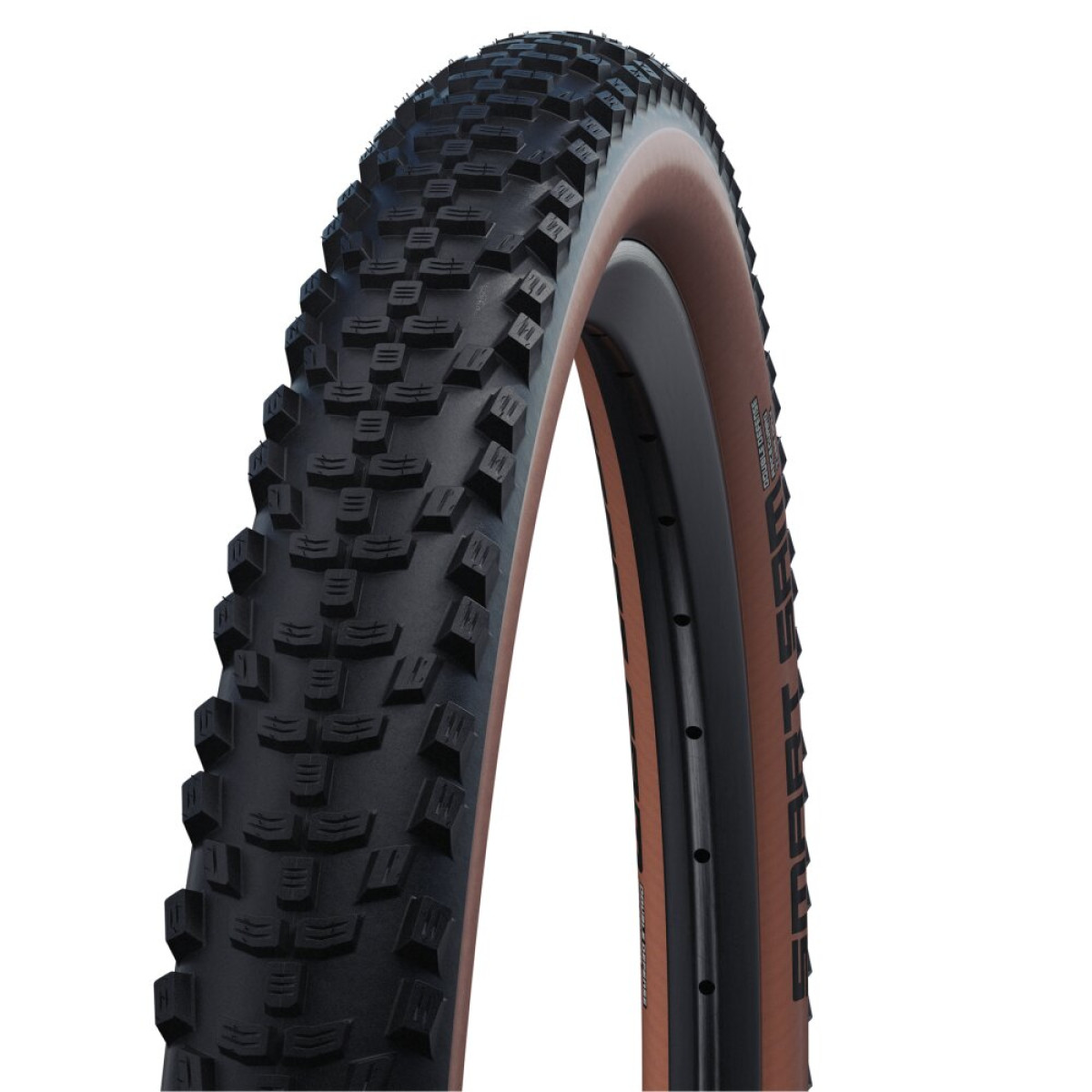 Schwalbe Smart Sam Performance DD RaceGuard 29