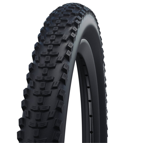 Schwalbe Smart Sam Performance RaceGuard 26