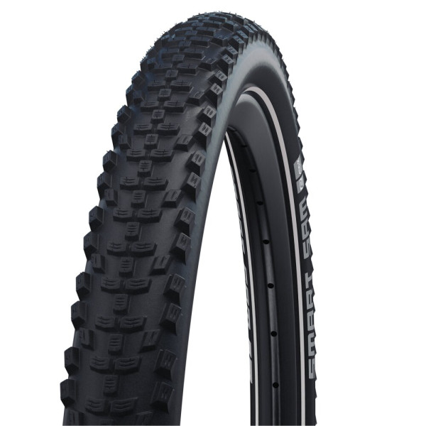 Schwalbe Smart Sam Plus Performance DD GreenGuard 20