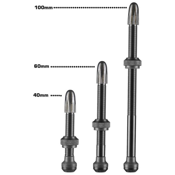 Schwalbe SV Tubeless ventiilid (2 tk)