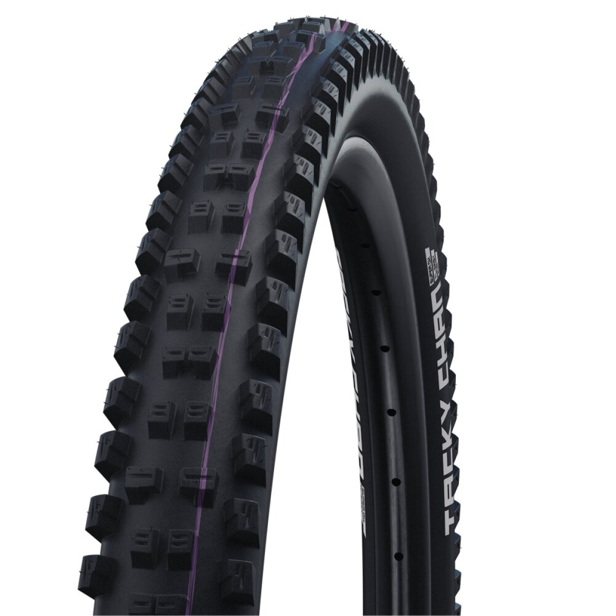 Schwalbe Tacky Chan Evo Super Ground TLE 29