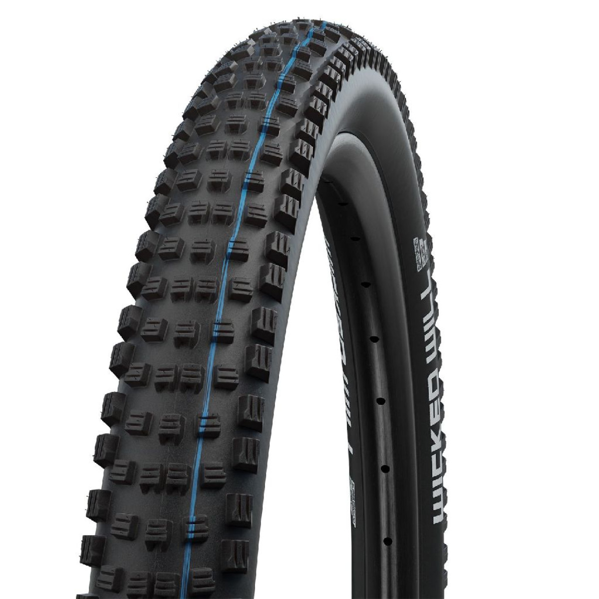 Schwalbe Wicked Will Evo Super Trail 29" Addix SpeedGrip E-50 Folding Tire | Black