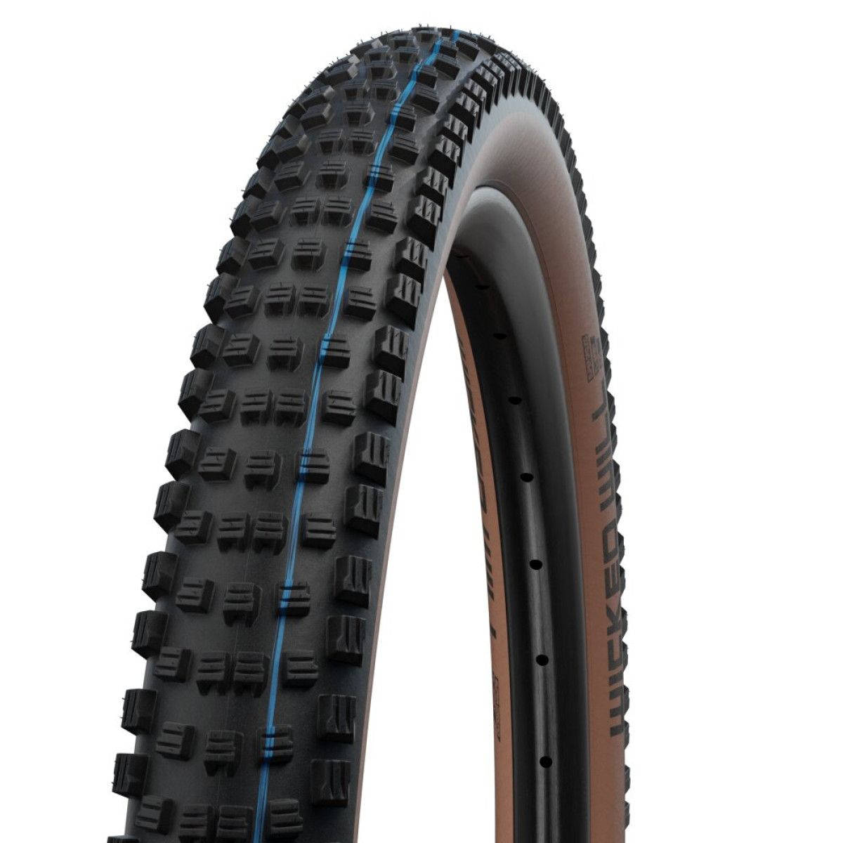 Schwalbe Wicked Will Evo Super Ground TLE 29