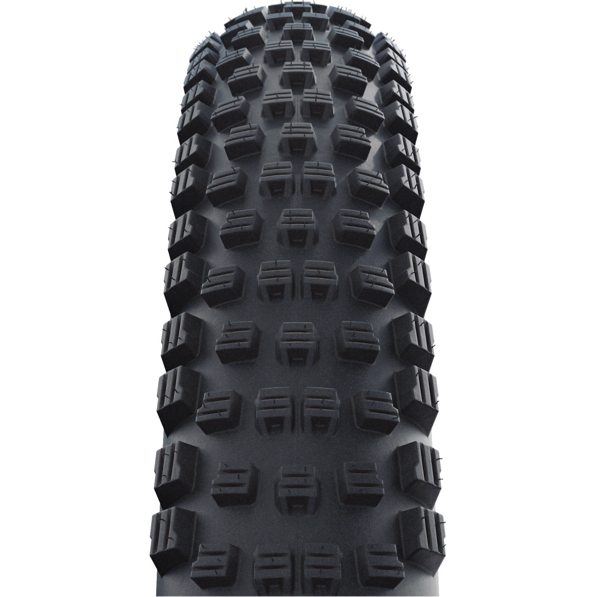 Schwalbe Wicked Will Performance 29
