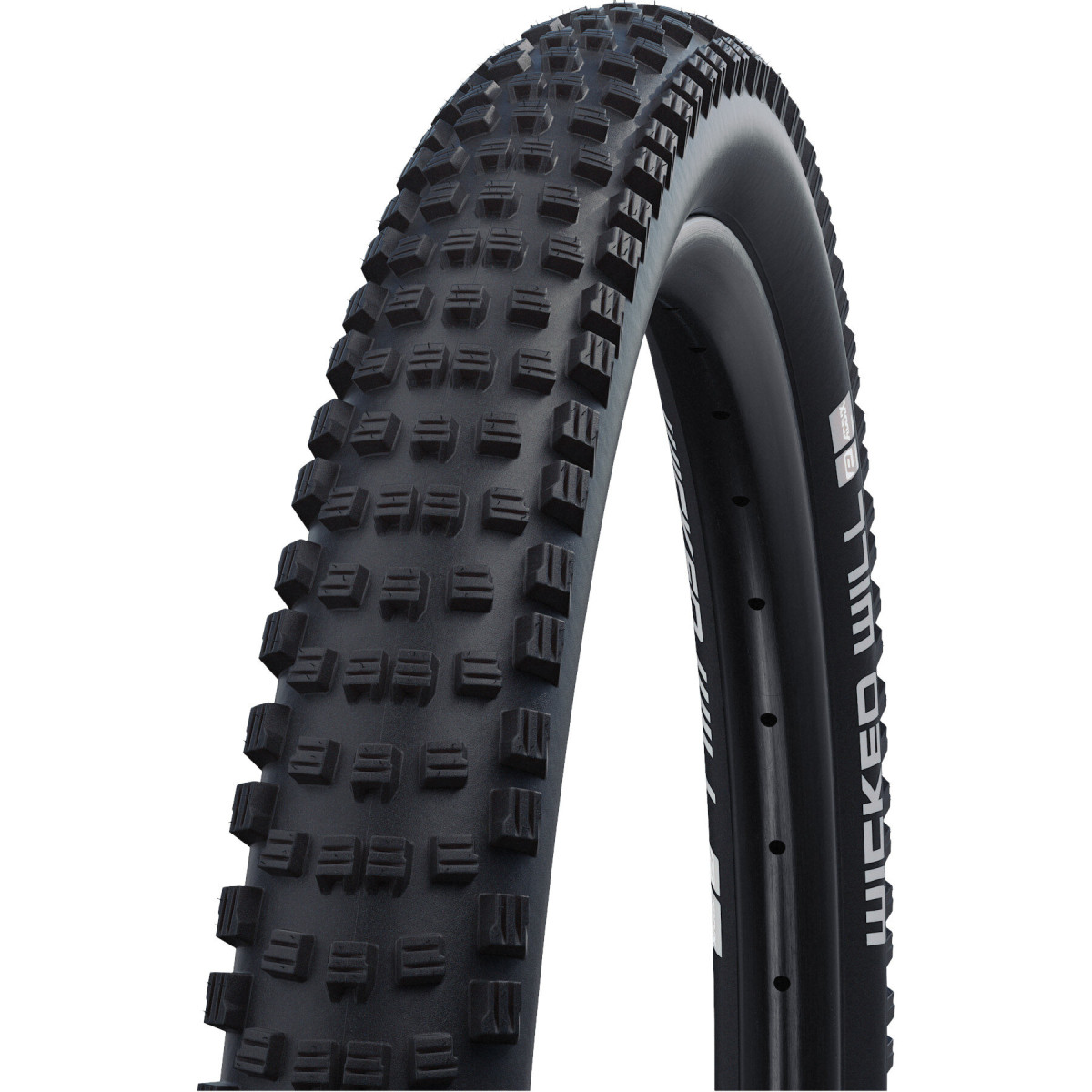 Schwalbe Wicked Will Performance 29