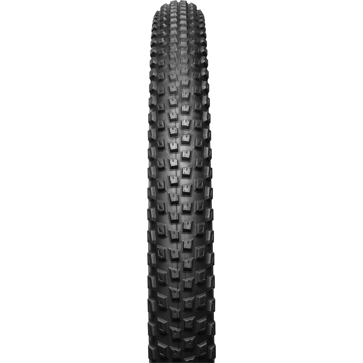 Specialized Renegade 2Bliss Ready 29
